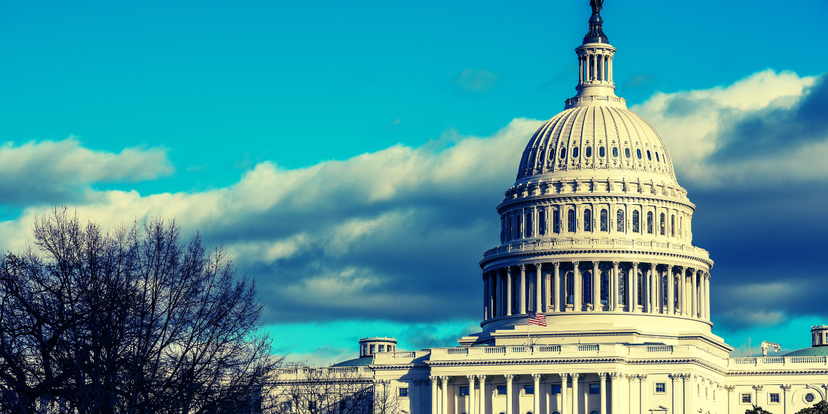 NETWORK Lobby for Catholic Social Justice has released the 2025 Voting Record