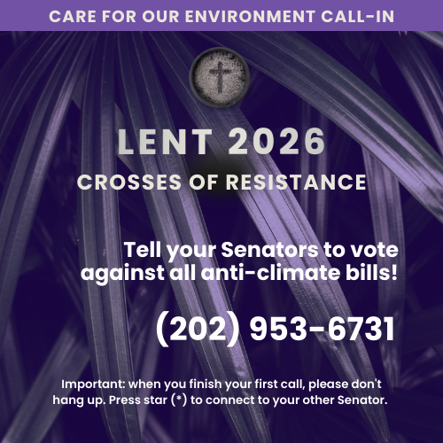 Help us carry crosses of resistance this Lent with your calls to the Senate to advocate for environmental justice | NETWORK Lobby for Catholic Social Justice